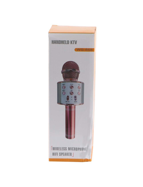 WS-858 WIRELESS MICROPHONE WITH HIFI SPEAKER