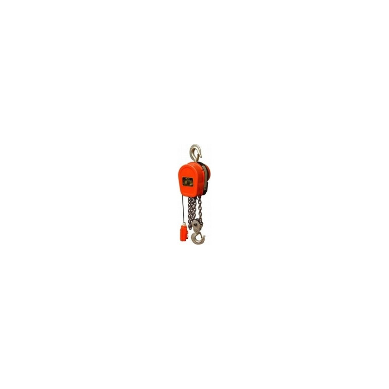 DHS Series Chain Hoist 1T x 12M - CHN