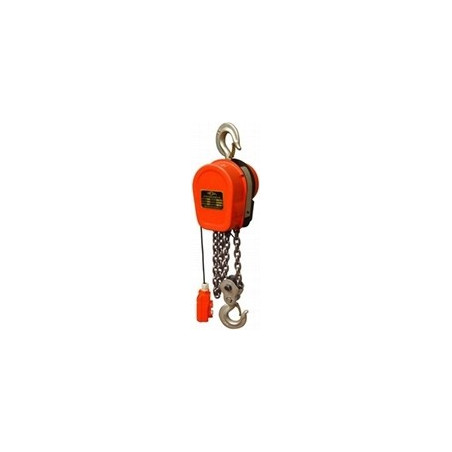 DHS Series Chain Hoist 1T x 12M - CHN