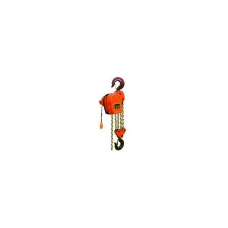 DHS Series Chain Hoist 1T x 12M - CHN