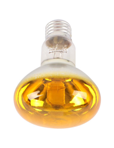 R80 SPOTLIGHT BULB 60W