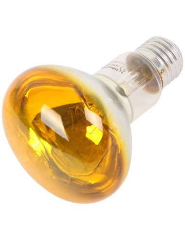 R80 SPOTLIGHT BULB 60W