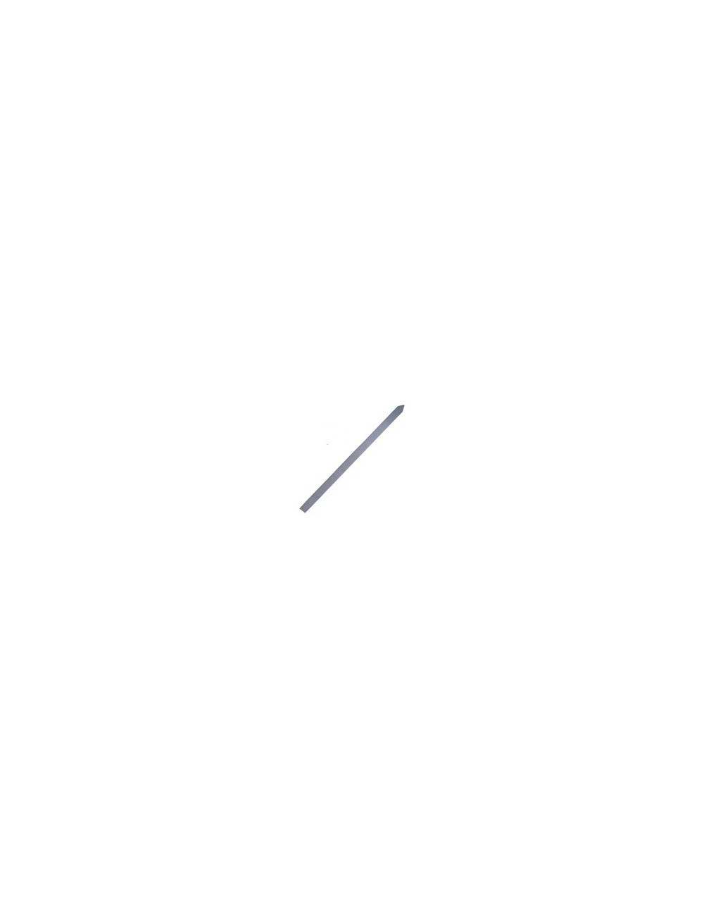 Kabab Skewers Without Handle Chrome - CHN