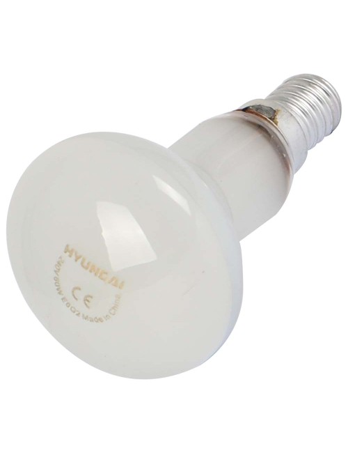 HYUNDAI R80 SPOTLIGHT ROUND BULB 60W