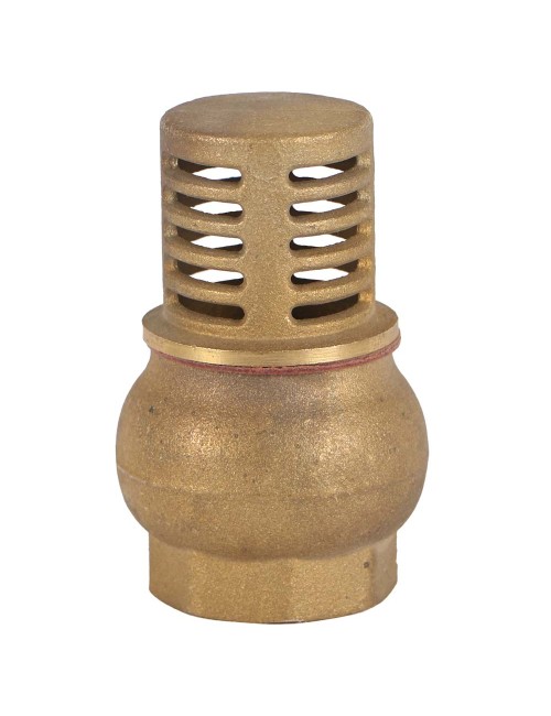 BRASS FOOT VALVE 3/4"