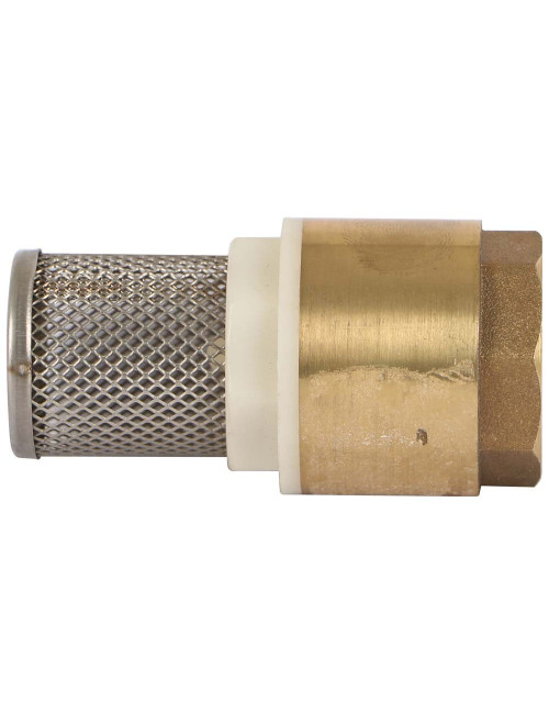 FOOT VALVE-BR-BSF 1"