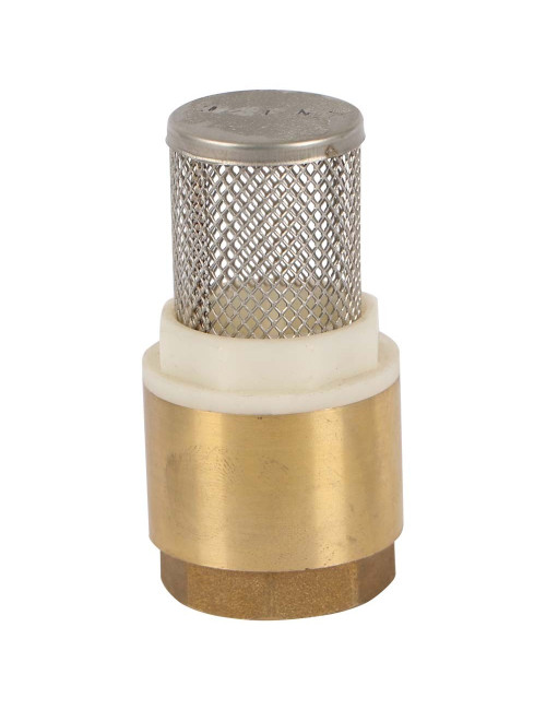 FOOT VALVE-BR-BSF 1"