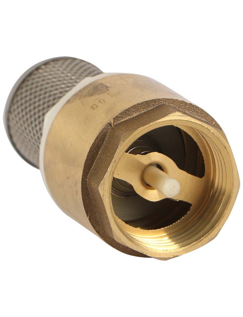 FOOT VALVE-BR-BSF 1"
