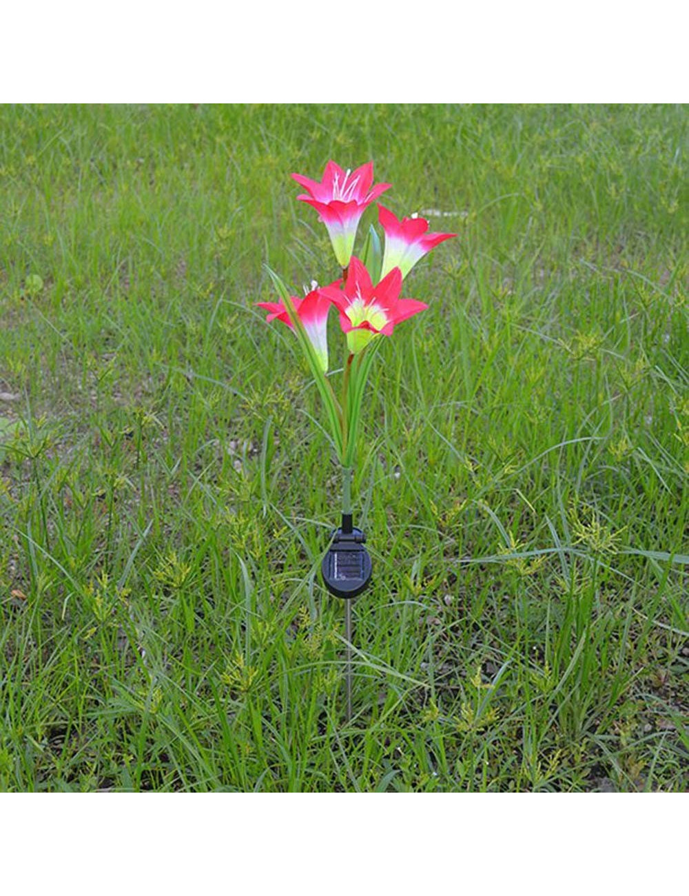 SOLAR FOUR-HEADED LILY HEIGHT 80 CM