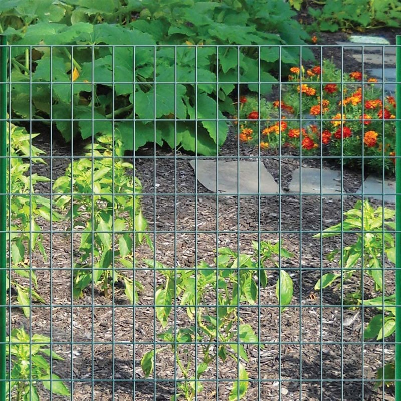 PVC COATED WELDED MESH GREEN 14G x 2" x 1" x 1.5 x 25 MTR