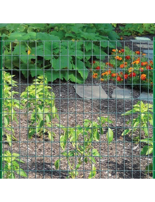 PVC COATED WELDED MESH GREEN 14G x 2" x 1" x 1.5 x 25 MTR