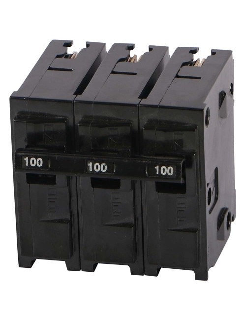 TP MCB 100 AMP (MINIATURE CIRCUIT BREAKER)