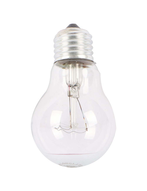 E27 BULB 100W WITH SCREW