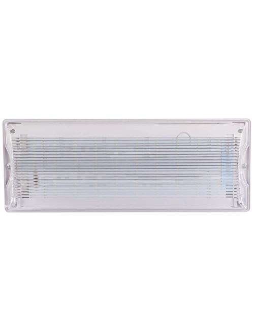 EMERGENCY LIGHT LED