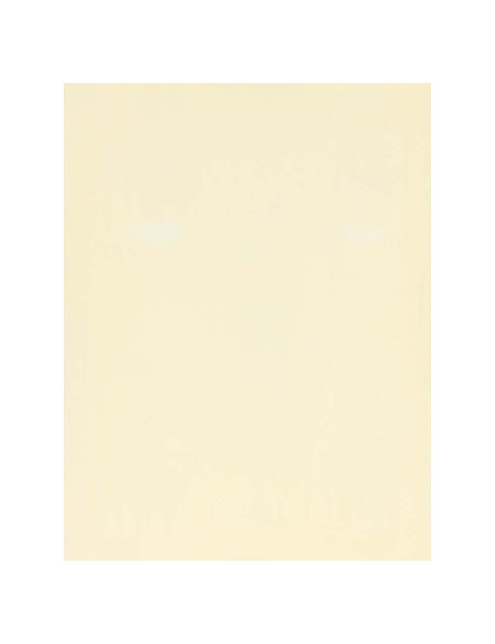 INDASA ABRASIVE PAPER FOR WOOD WHITE NO.220