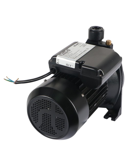 CH3-40 CI CENTRIFUGAL CAST IRON WATER PUMP 1.5 HP