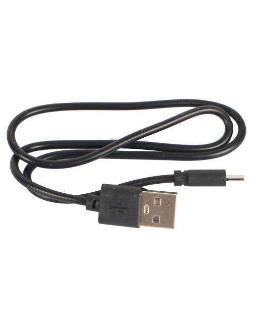 HANDHELD WORK LIGHT DUAL USB 7W