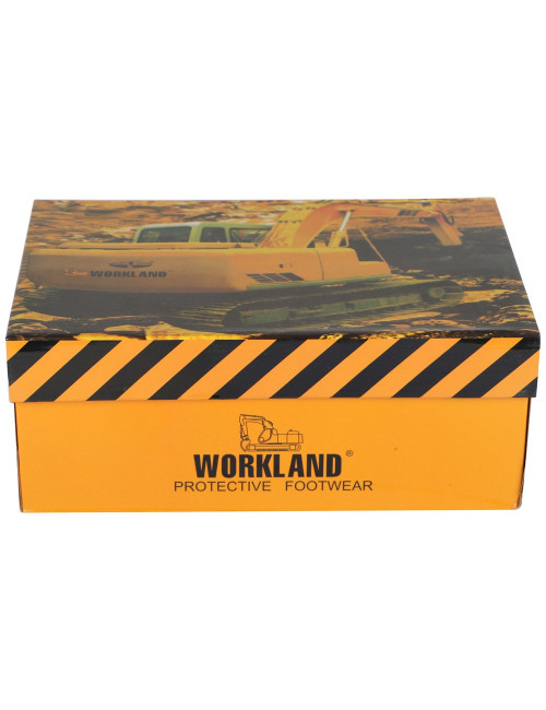 Safety Shoes Size 42 WPA (LJ3600) - CHN