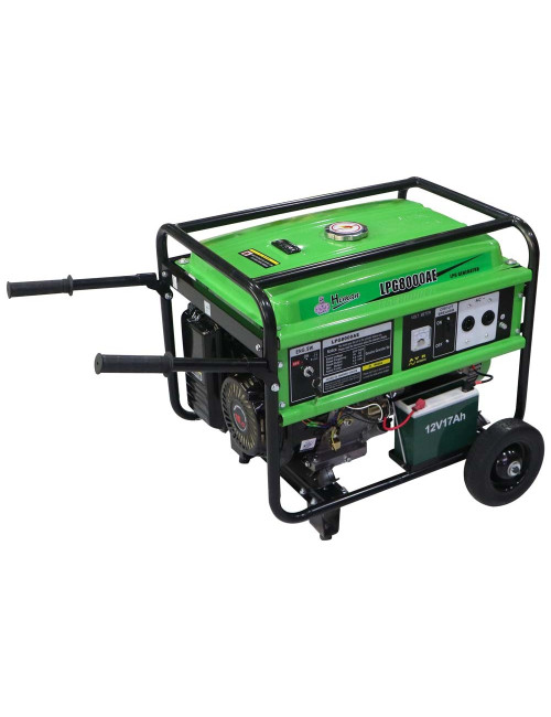 LPG 8000 HEMAN DUAL FUEL GENERATOR (LPG+GASOLINE) 6 KW