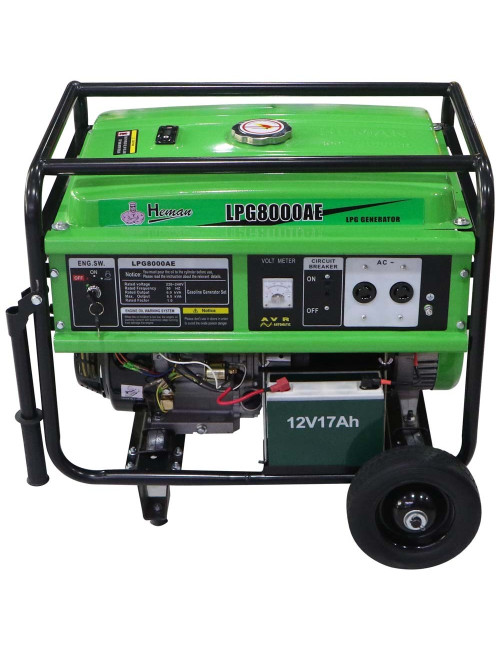 LPG 8000 HEMAN DUAL FUEL GENERATOR (LPG+GASOLINE) 6 KW