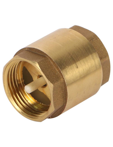 BRASS NON RETURN VALVE 1"