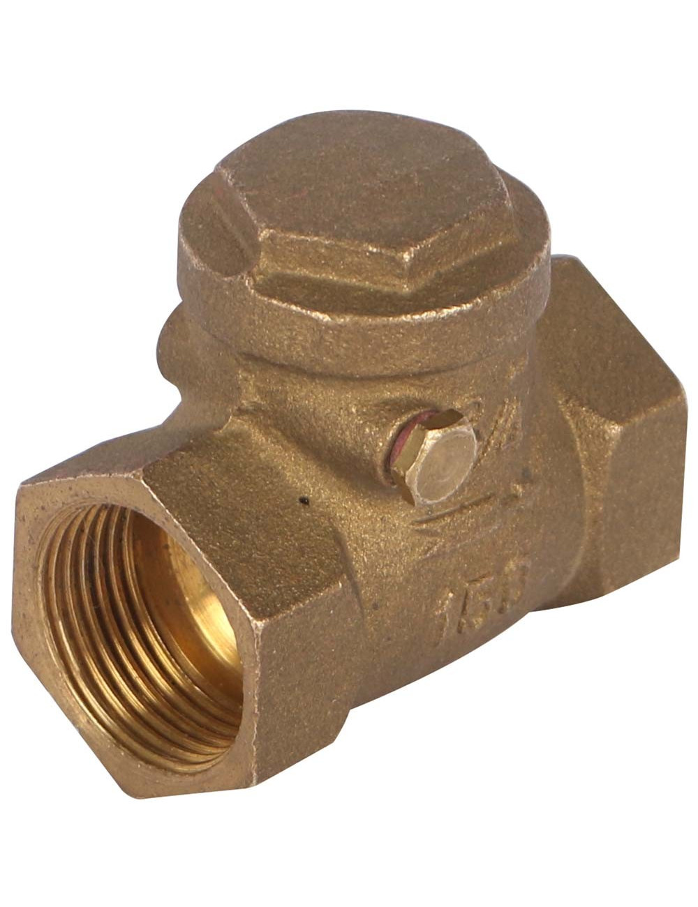 BRASS DOOR CLOSER 3/4"
