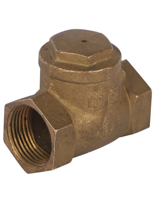 BRASS DOOR CLOSER 1"