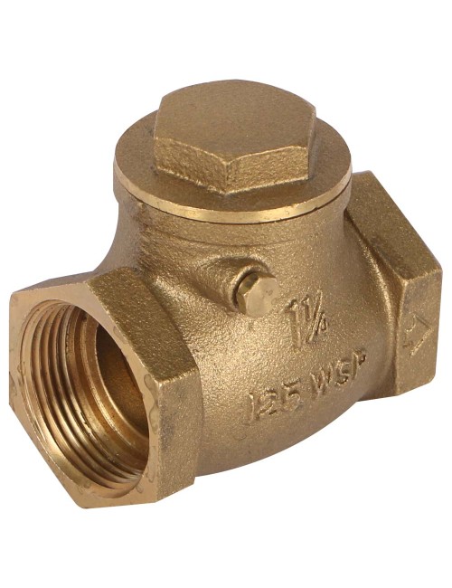 BRASS DOOR CLOSER1 1/4"