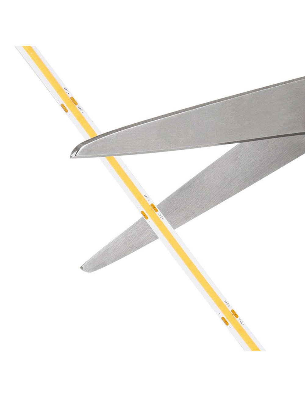 COB STRIP LIGHT 10MTR 24V DC RED