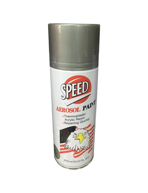 Spray Paint Silver - UAE