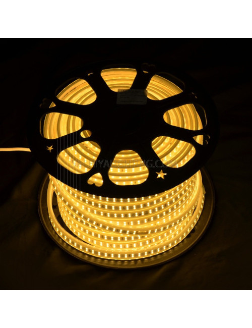 MTR 50 LED 2835-180P روب لايت اصفر دبل CHN