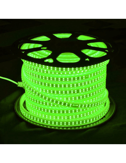 2835-180P DOUBLE LINE LED STRIP LIGHT GREEN 50 MTR