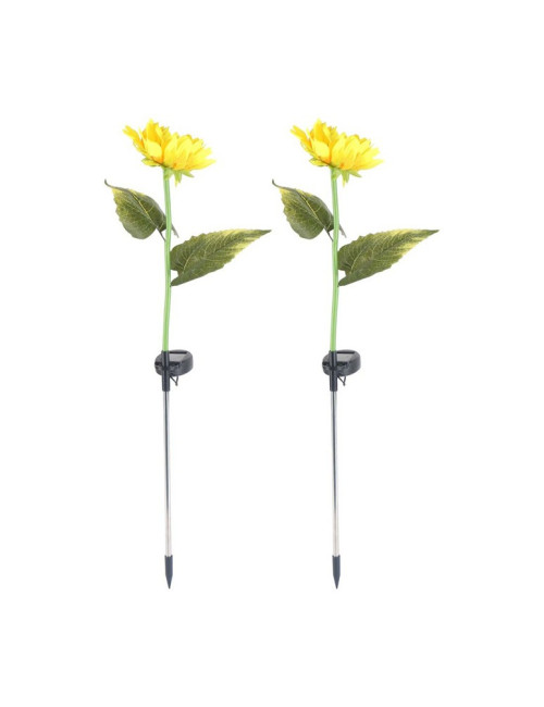 SOLAR GIANT SUNFLOWERHEIGHT 80 CM