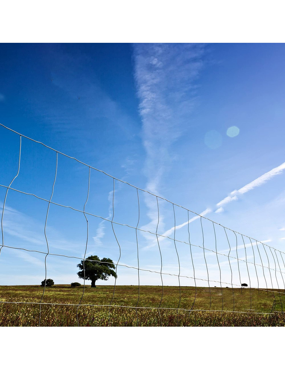 شبك لوح جلفانيز CHN - ''2'' x ''2'' x4 x 8 - 3 MM