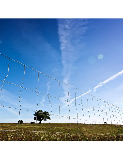 شبك لوح جلفانيز CHN - ''2'' x ''2'' x4 x 8 - 3 MM