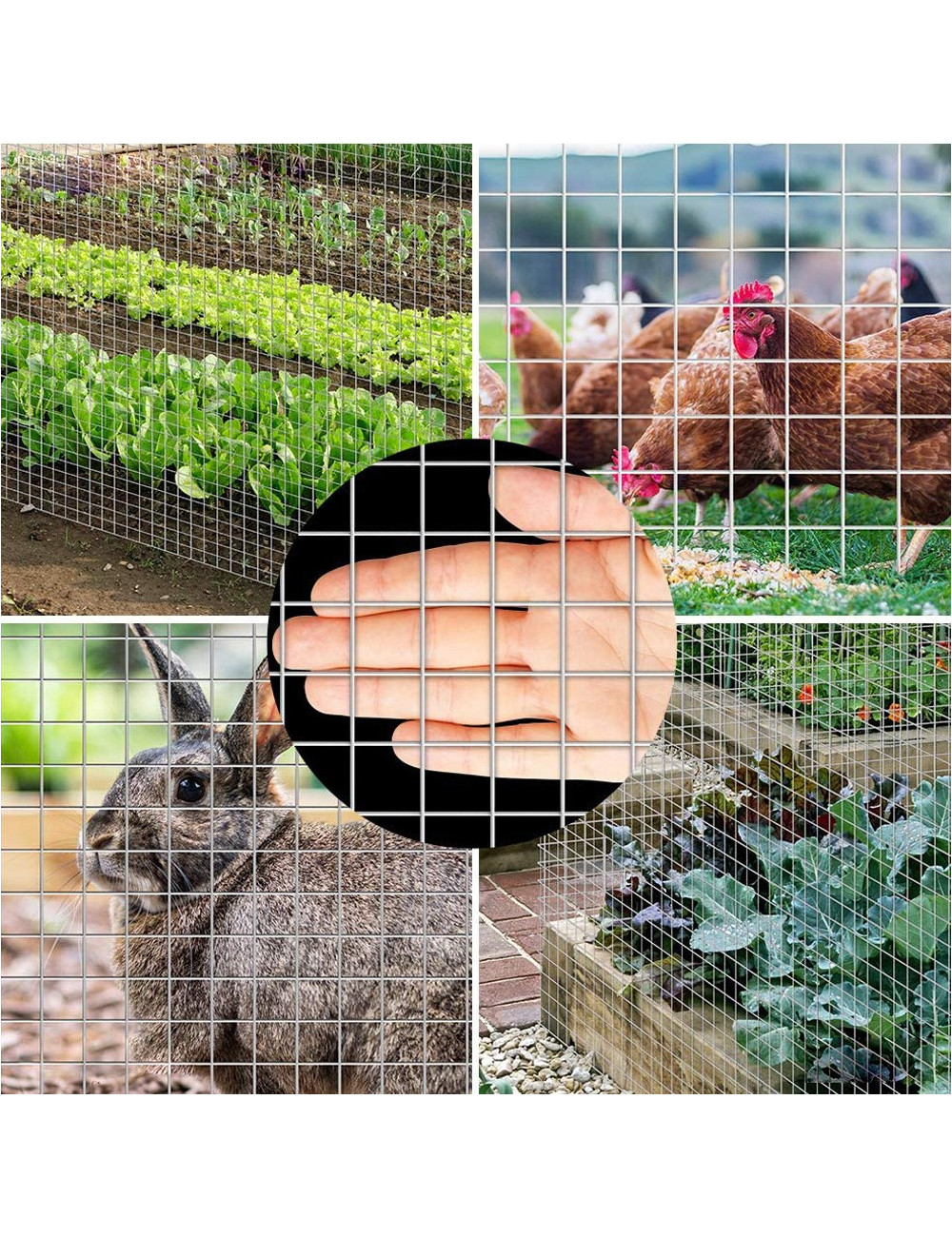 ELECTRO GALV WELDED MESH B/W 16G x 1" x 1.2 x 25 MTR