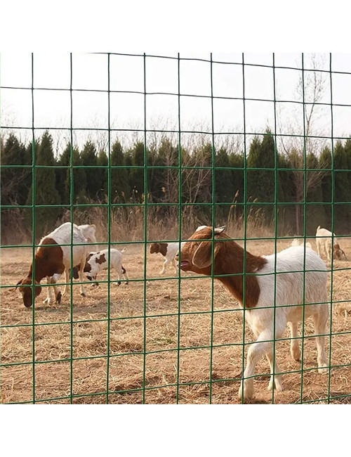 شبك ملبس 3/4"×15×1.2متر×25متر CHN