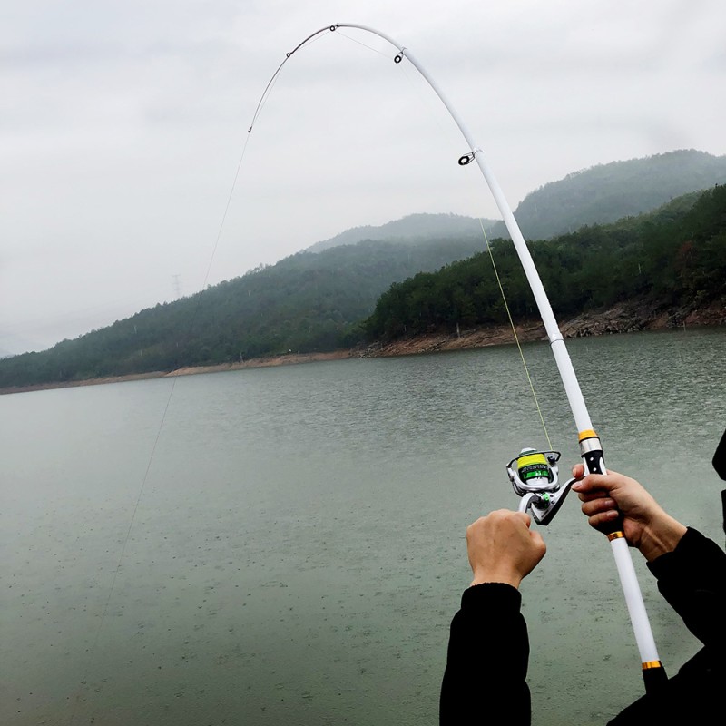 FISHING ROD 4.5MTR
