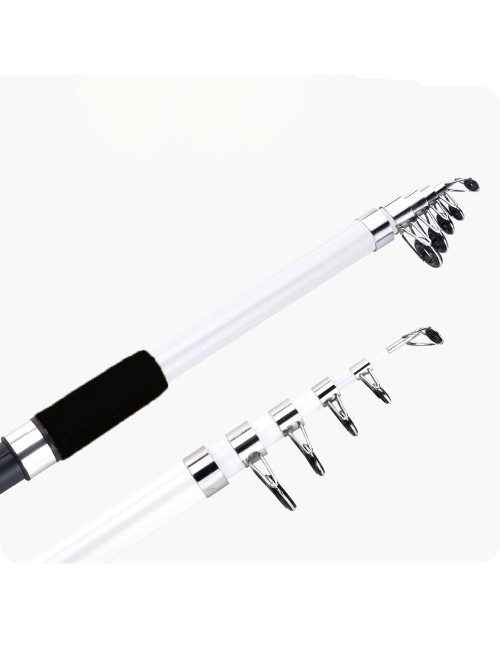 FISHING ROD 4.5MTR