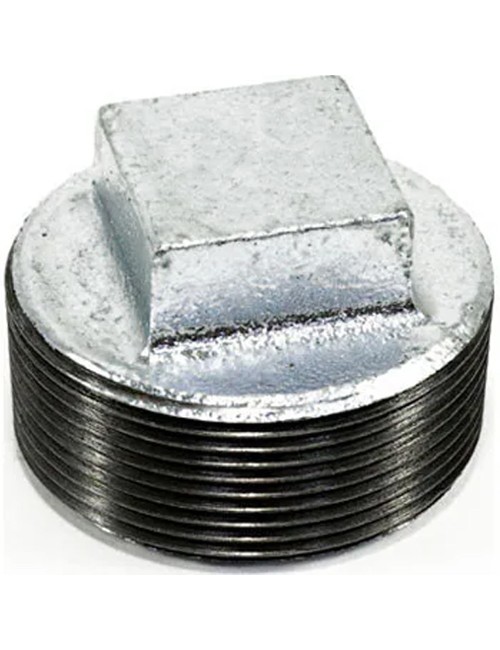 GI PLUG 2"