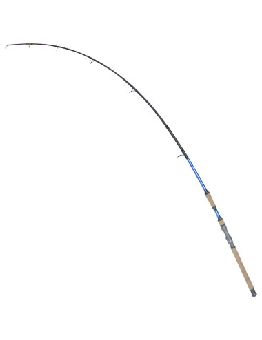 BAIT MASTER 2400 FISHING ROD