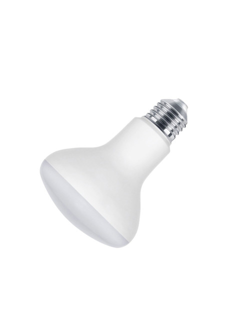 RA80 LED BULB WW 15W