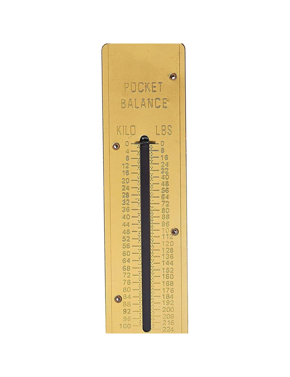 DH-G002 SPRING SCALE 100 KG