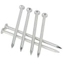 STEEL CONCRETE NAIL WHITE 4"
