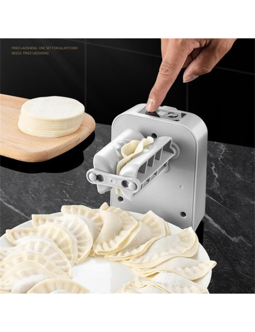 D725 ELECTRIC DUMPLING MACHINE