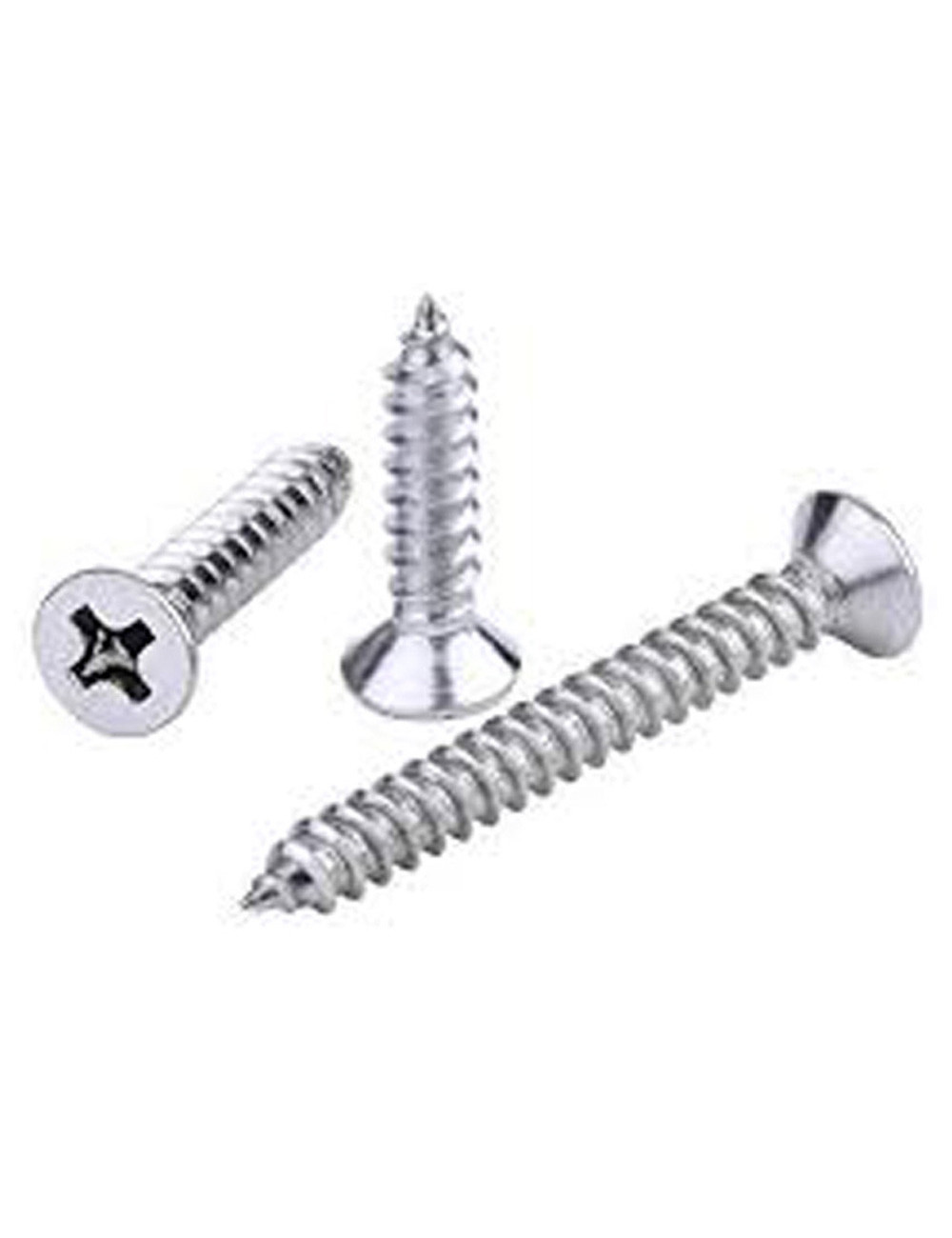 PHILLIPS SELF TAPPING SCREW 2" x 10