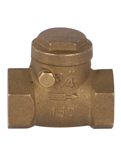 BRASS DOOR CLOSER 3/4"