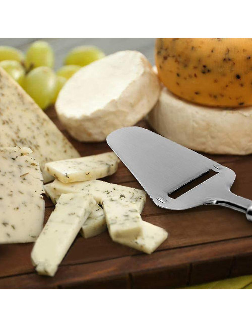 Cheese Turner