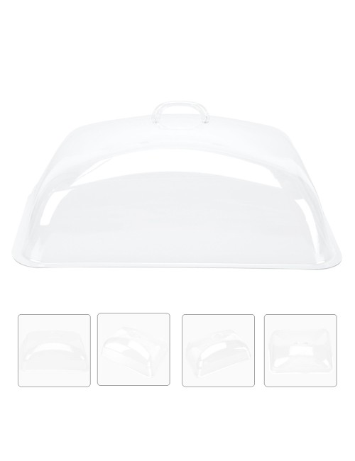 Rect. Tray With Transaparent Lid - 30Cm*40Cm