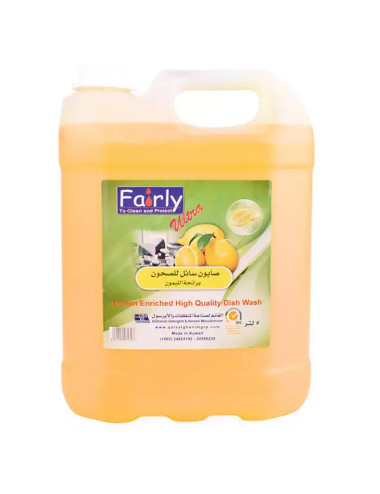 FAIRLY DISH WASH LIQUED 5LTR